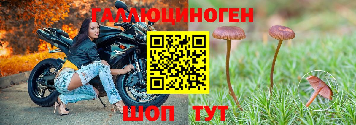 Псилоцибиновые грибы мицелий Лесосибирск